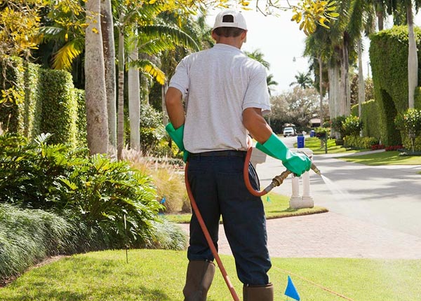 About Wycombe PA Pest Control Pros